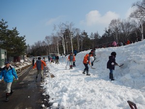 ペンギン散歩道