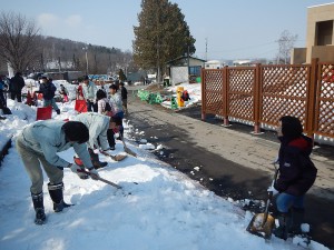 ペンギン散歩道